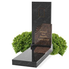 Эксклюзивный памятник Э-17